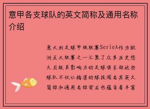 意甲各支球队的英文简称及通用名称介绍