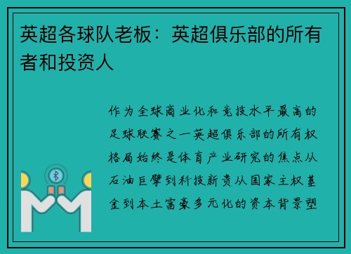 英超各球队老板：英超俱乐部的所有者和投资人