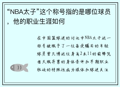 “NBA太子”这个称号指的是哪位球员，他的职业生涯如何